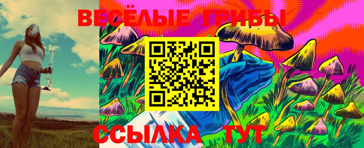 Псилоцибиновые грибы GOLDEN TEACHER Донецк