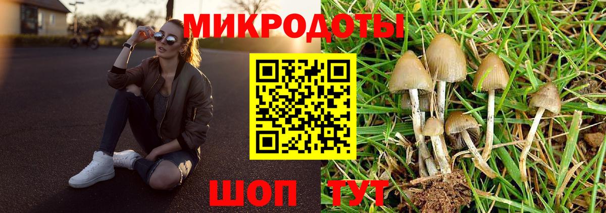 Донецк  Псилоцибиновые грибы MAGIC MUSHROOMS  Вход с VPN 